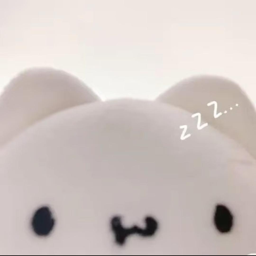 你别总灰萌萌
