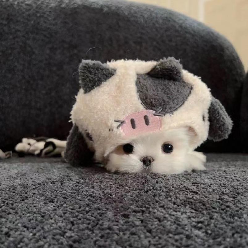 沫时