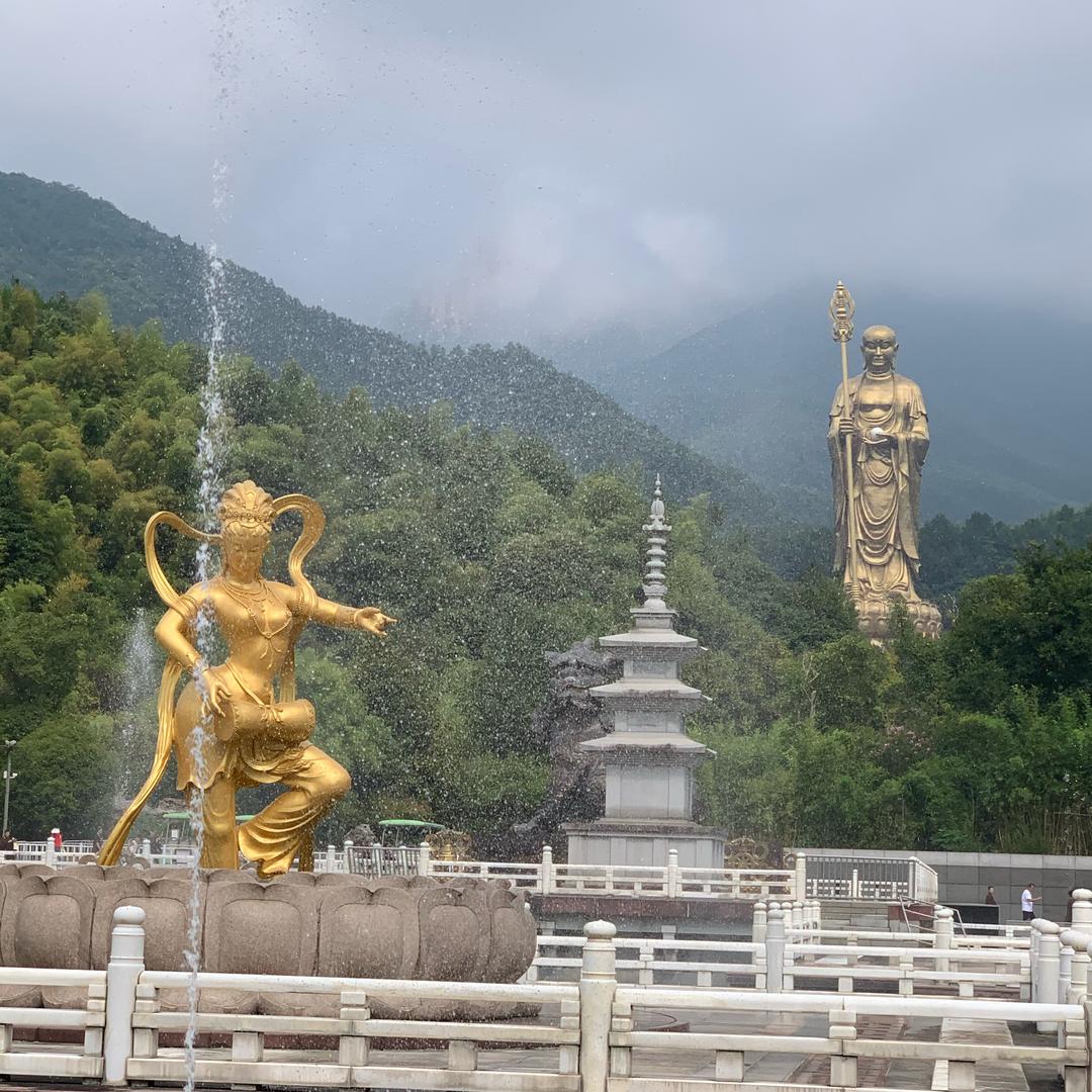美金金