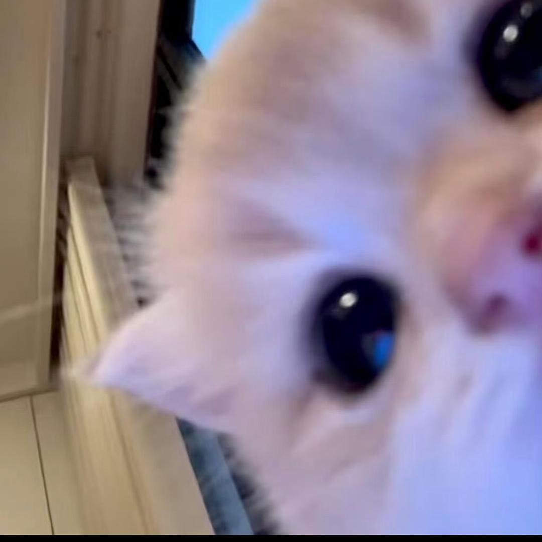 帮你联系屠宰场