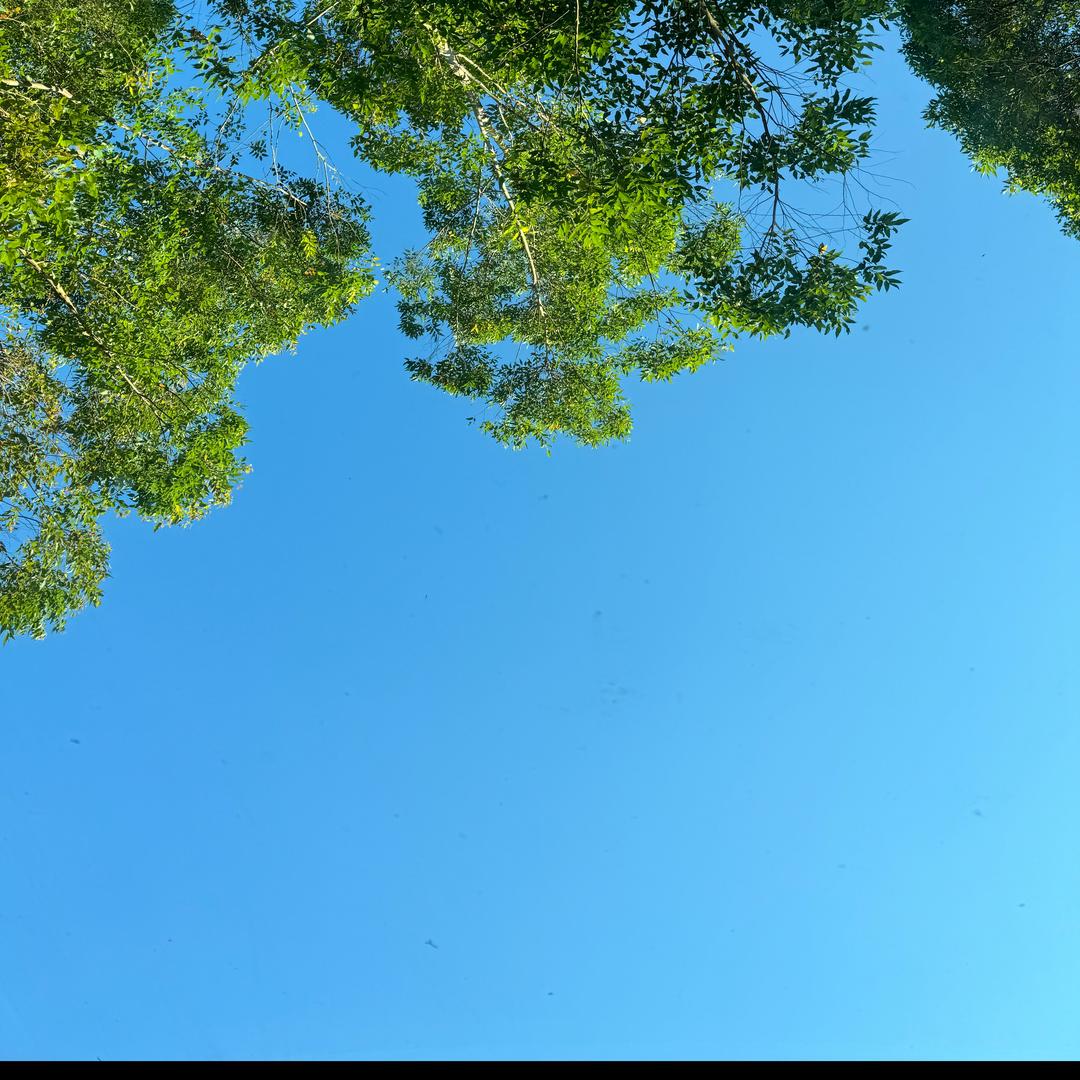 星河逐影