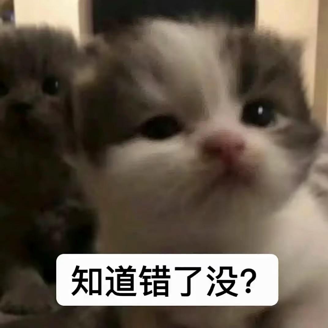 骗我的都是日本人。。