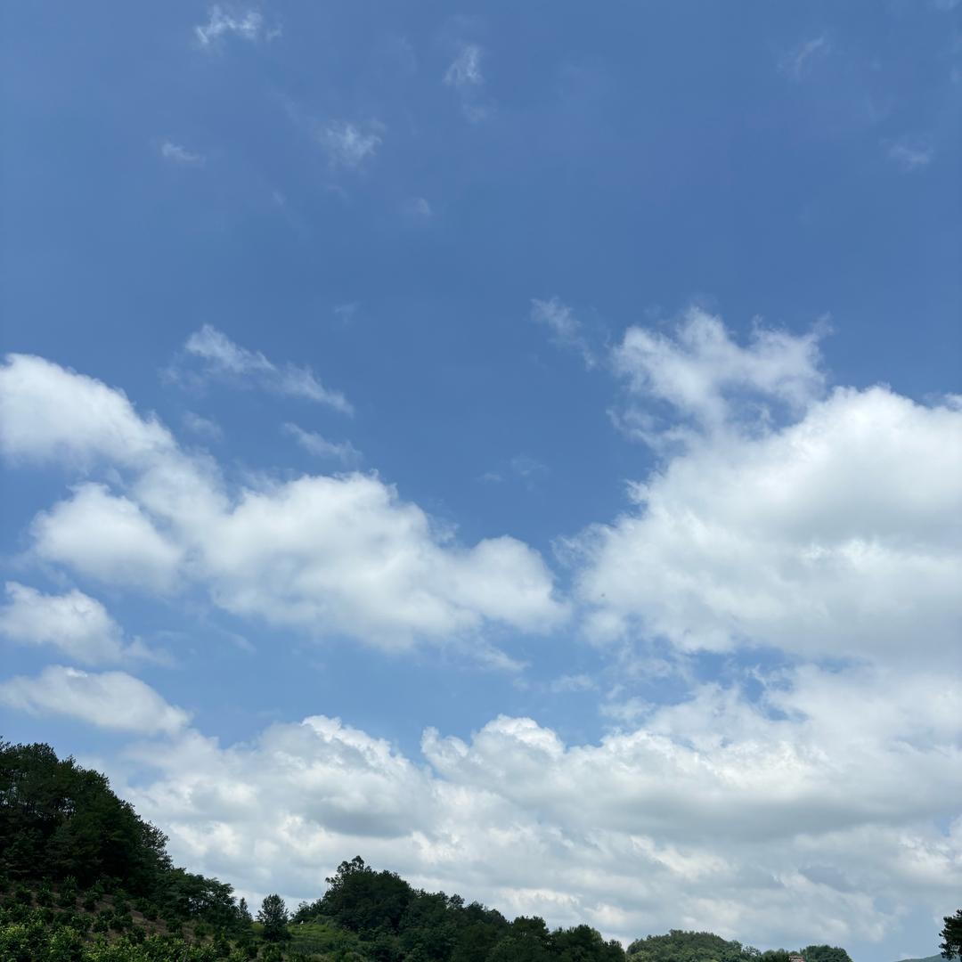多多优选