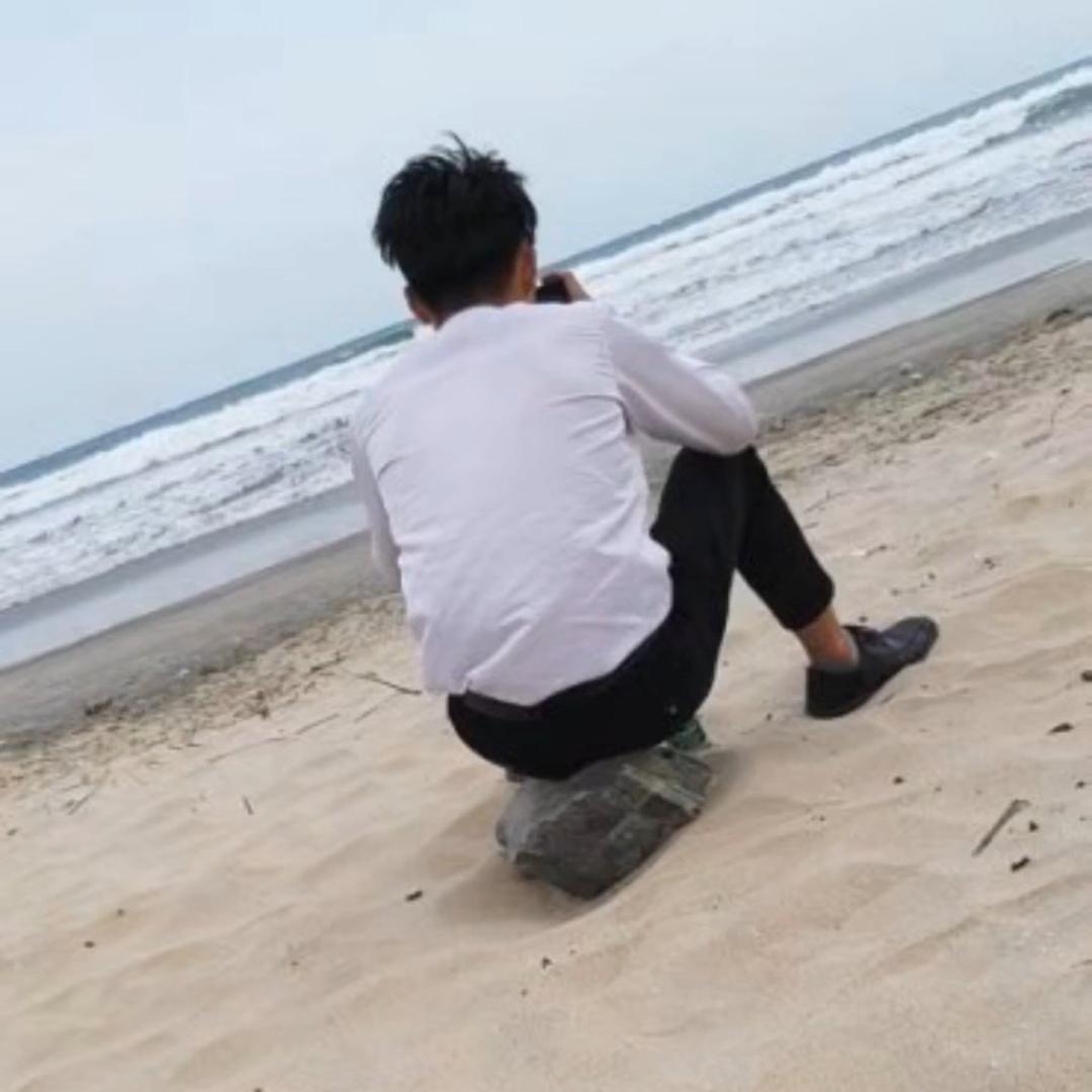 达 达
