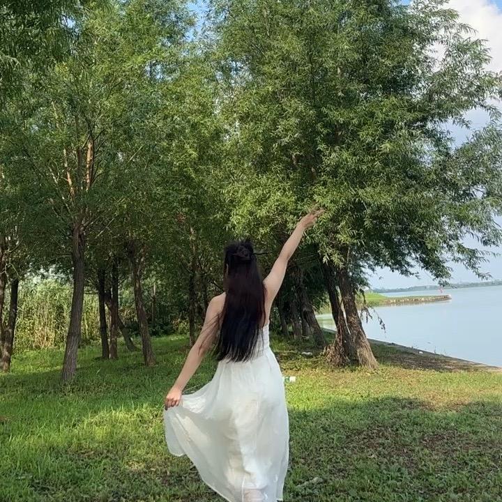 元宝团子