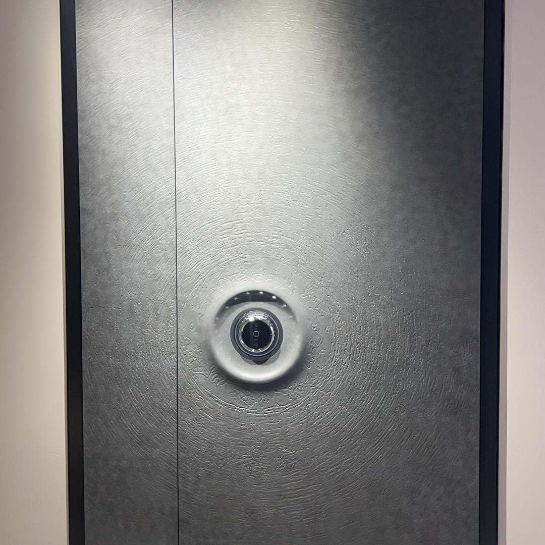 温州梵蒂斯入户门