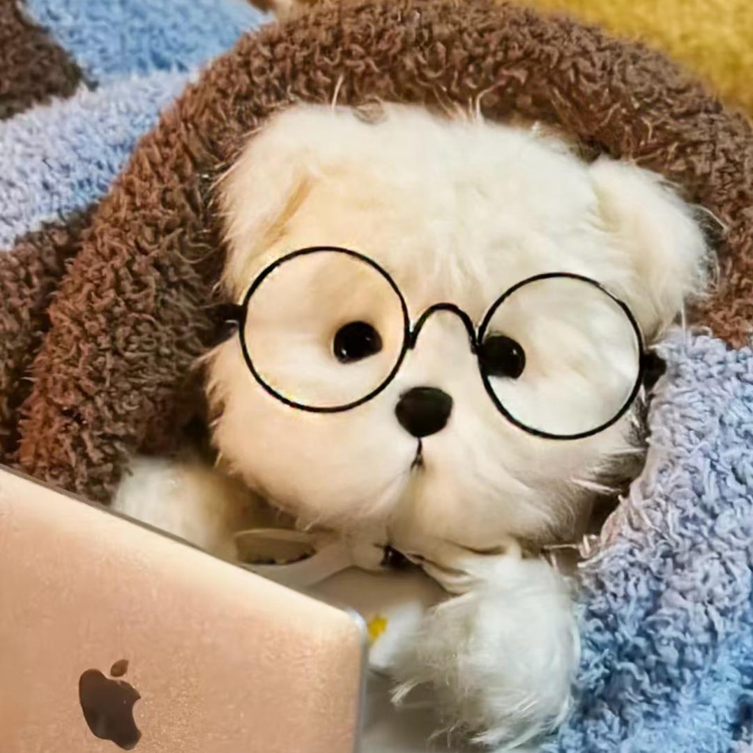 Good猫倪（减肥版）