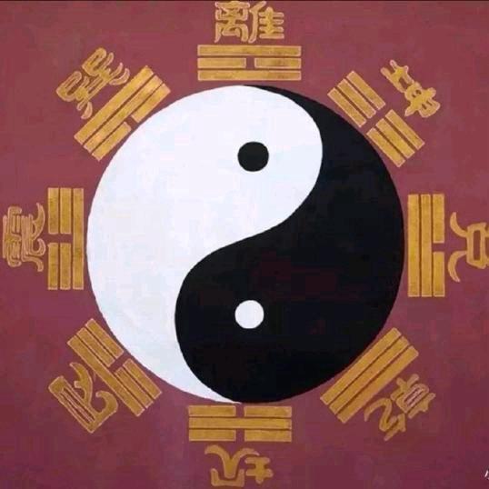 云智文化（姓名识人）