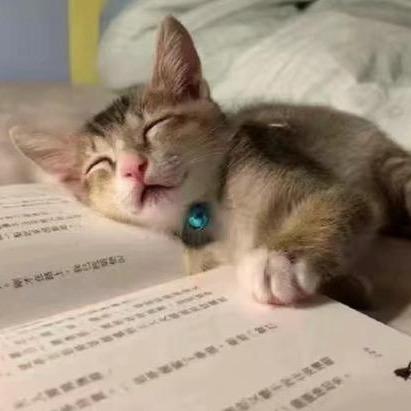 距离上一年仿佛只过了一年