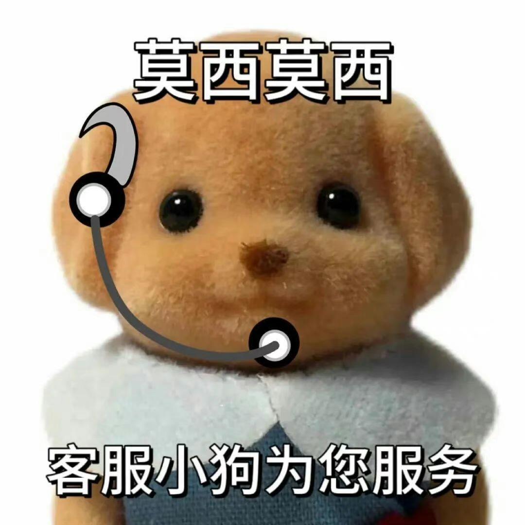 喵喵妙脆角