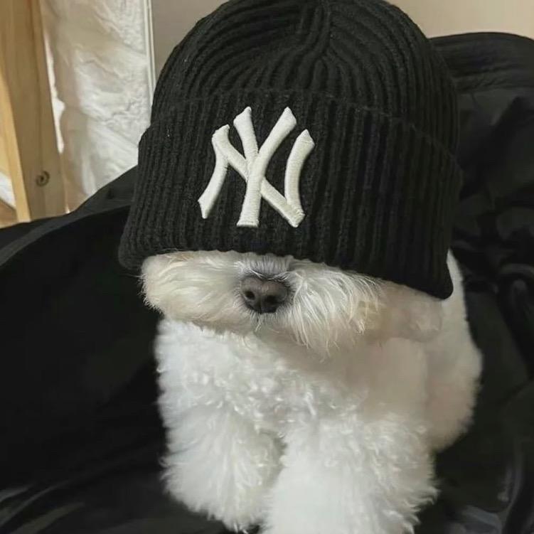 钢铁飞飞侠@抖音