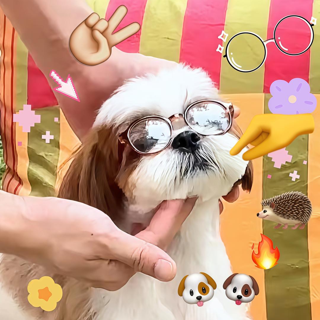 KUYO_XI（多见一次版）