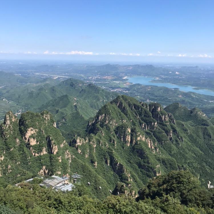 知昂张