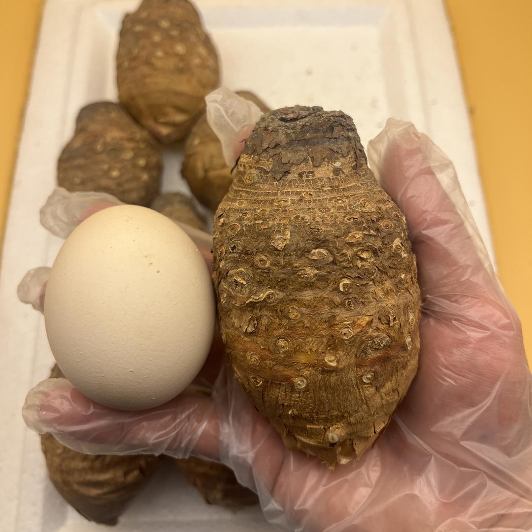 东北吉林特产小卖店