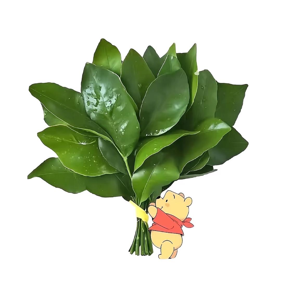 叁