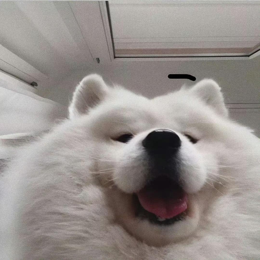 勿扰哥