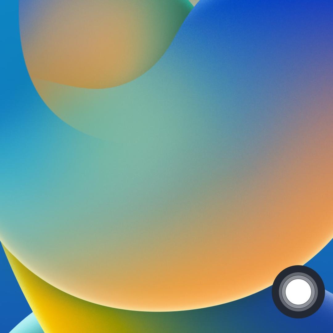 蜂窝板吊顶 小苏