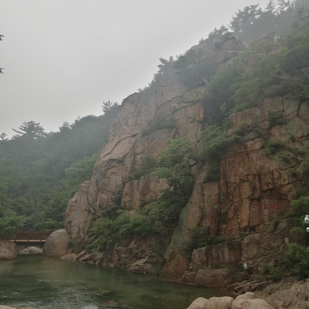 青岛山地丰水果批发服务有限公司