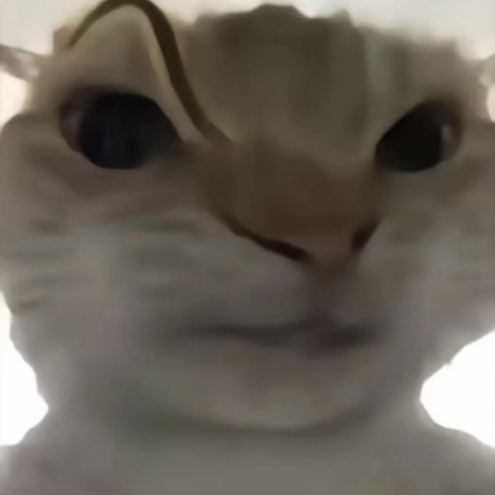 特猫（三角洲行动）