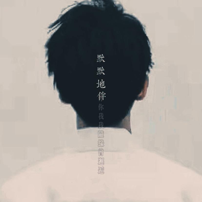 一只🐑两只🐑三只🐑