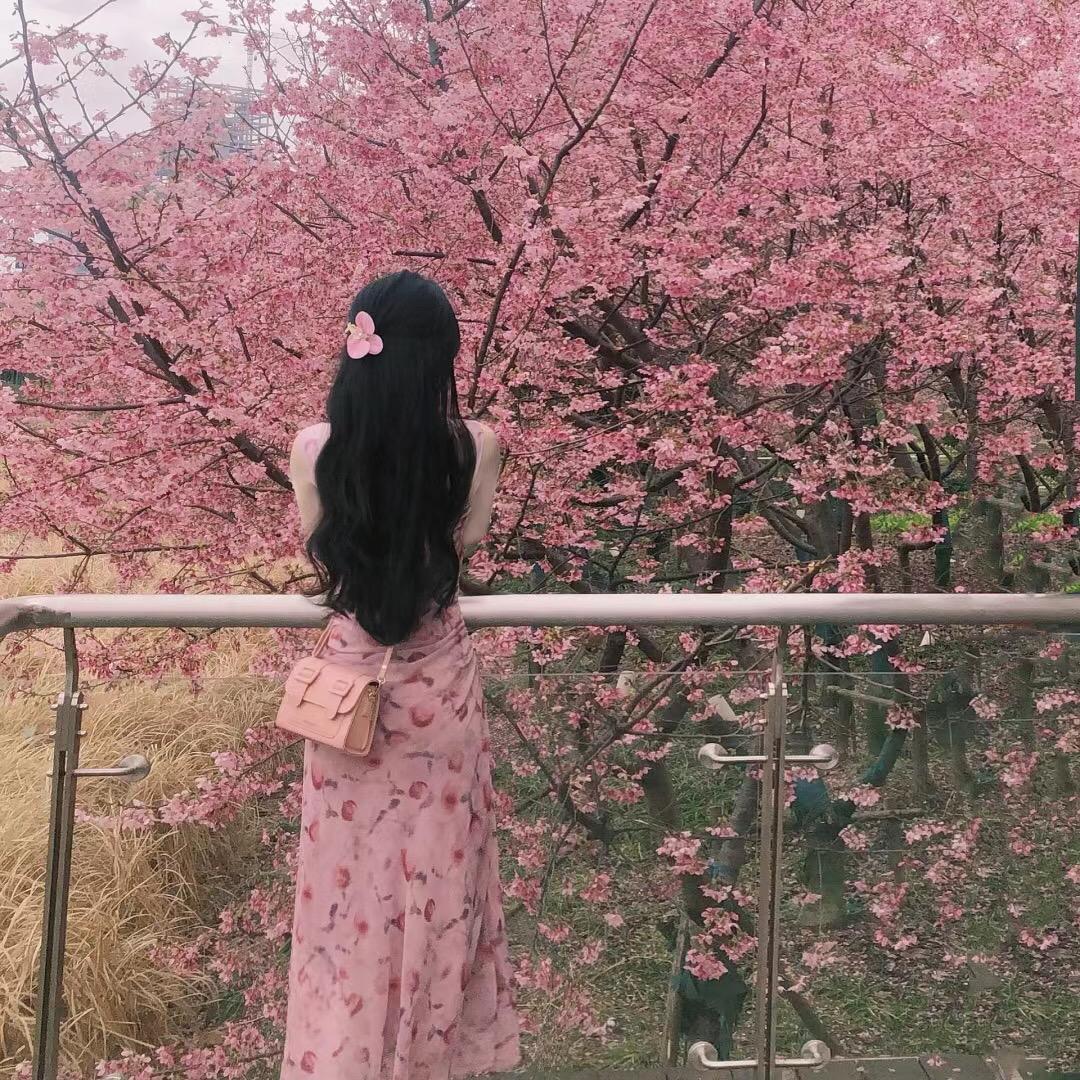 㯥盡潑
