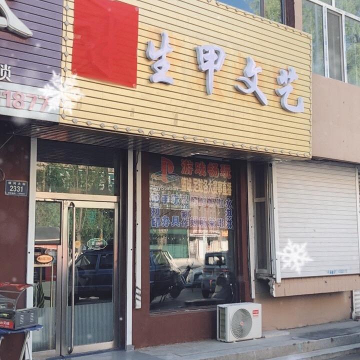 半生甲文艺