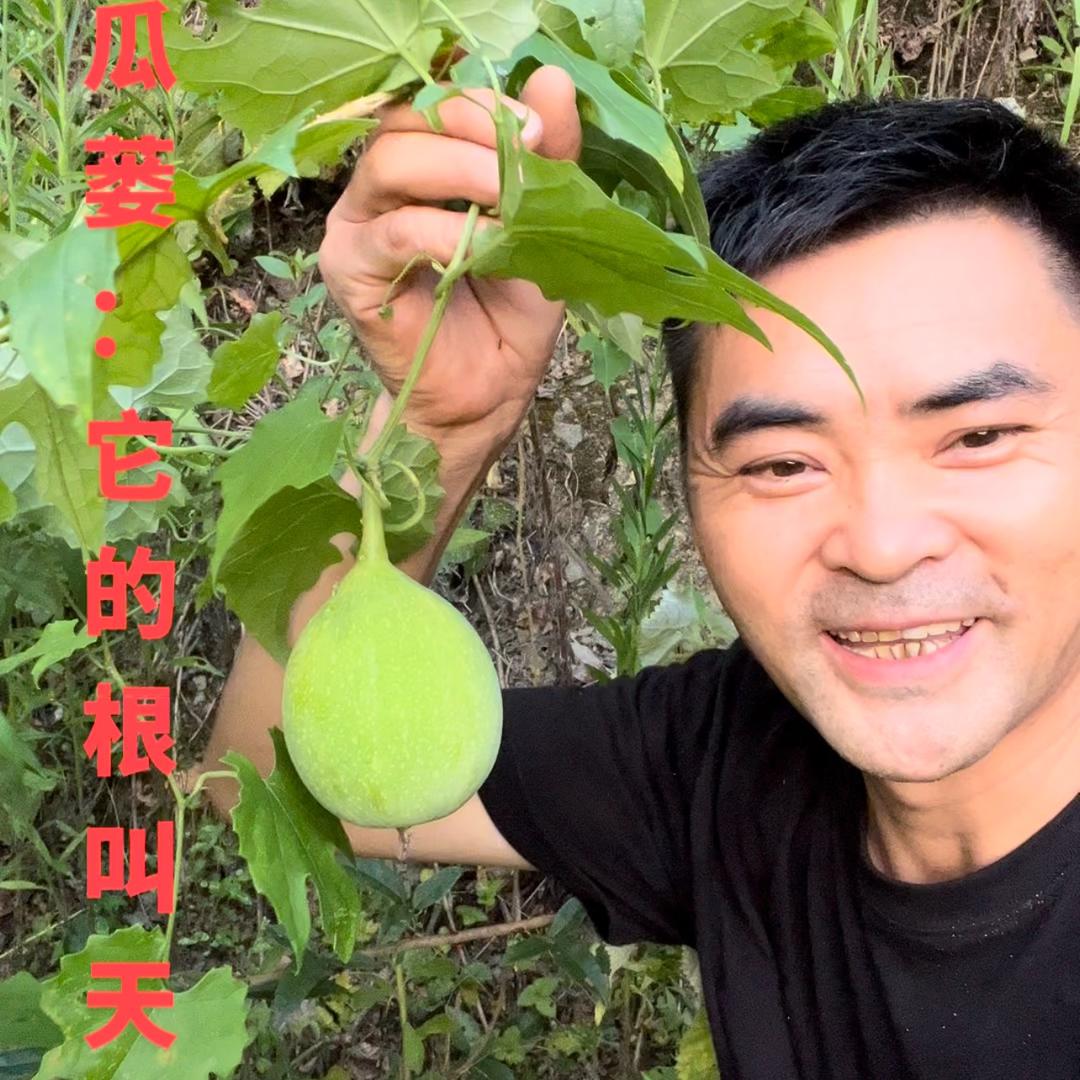 贵州威宁博技源中草植物店-周老师