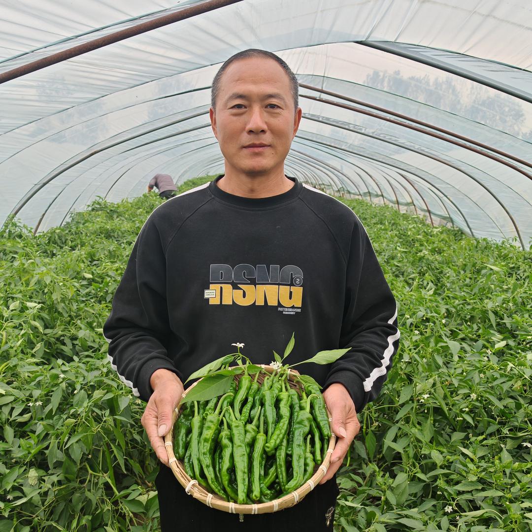 德澜生鲜