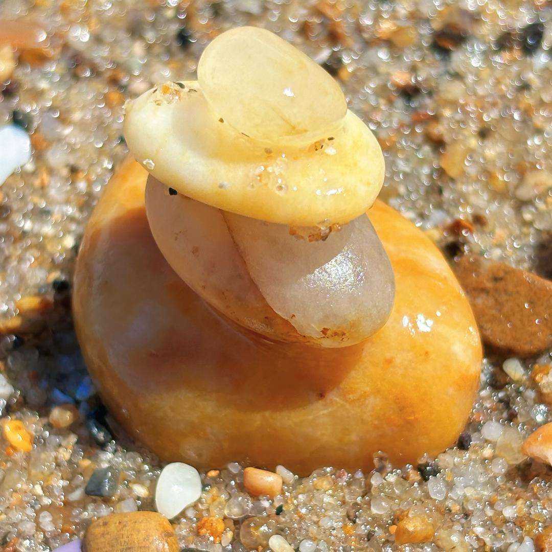 一只婷儿૮₍˶ᵔᵕᵔ˶₎ა