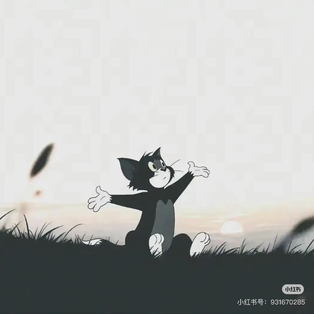 海边捡贝壳