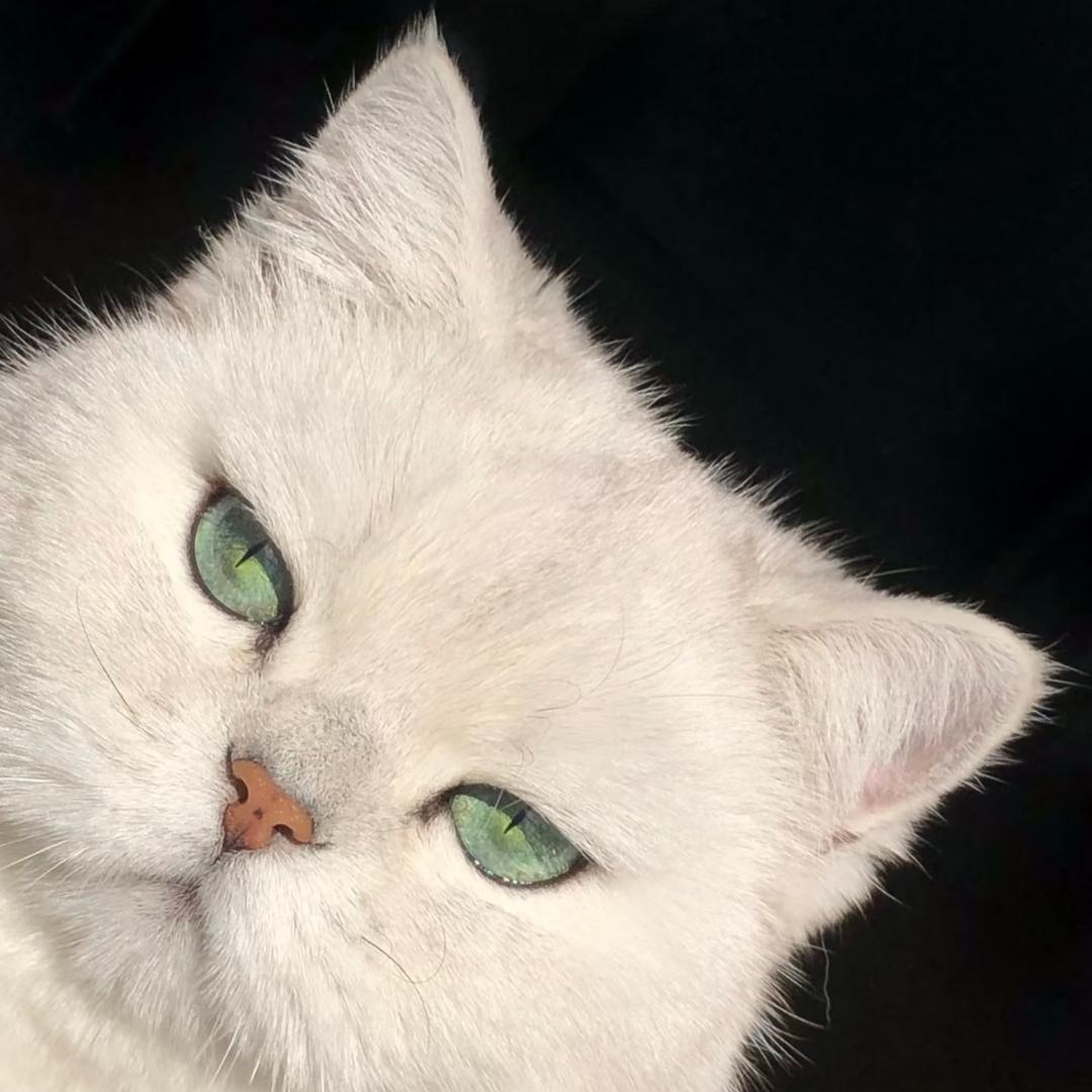 625