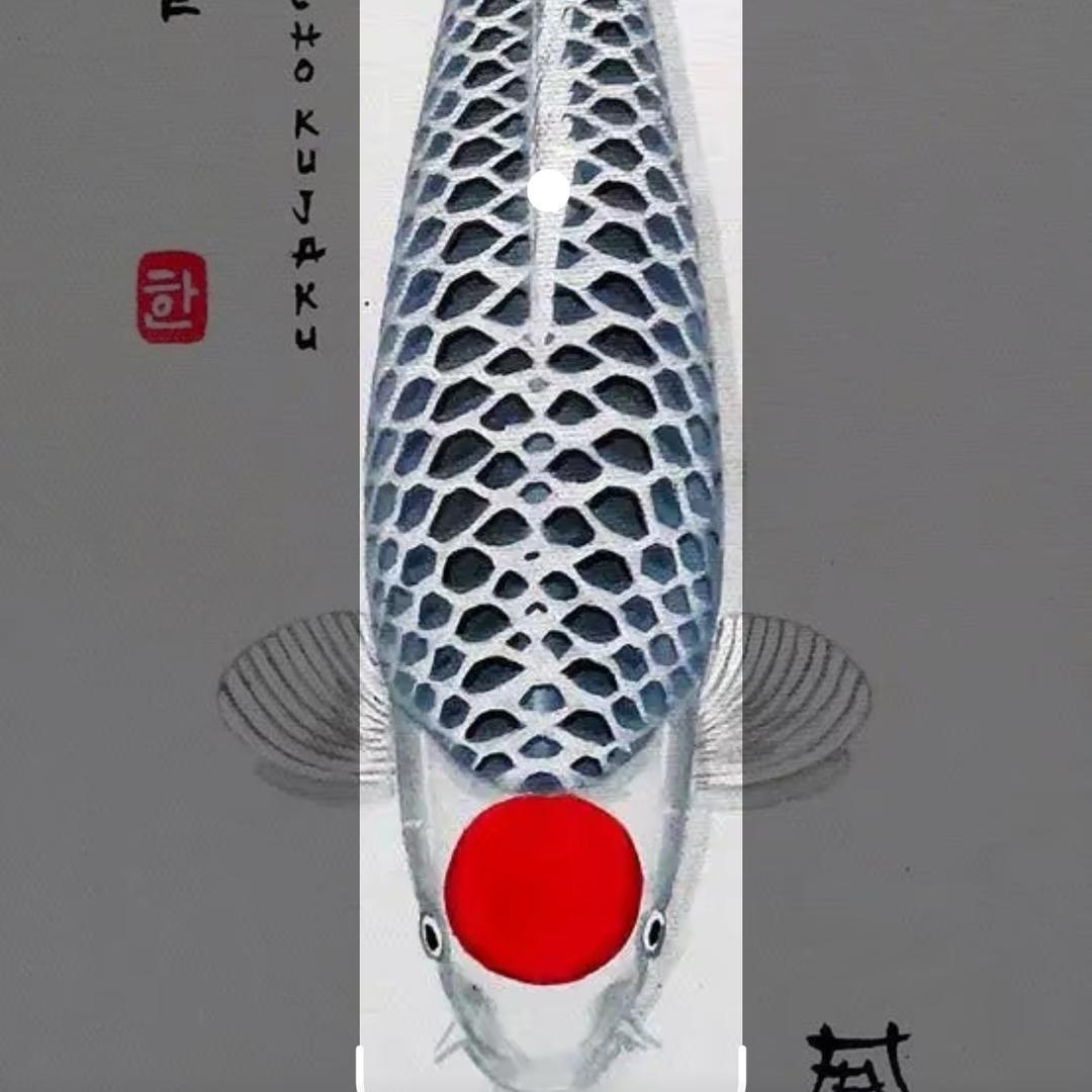 逸宁锦鲤2号