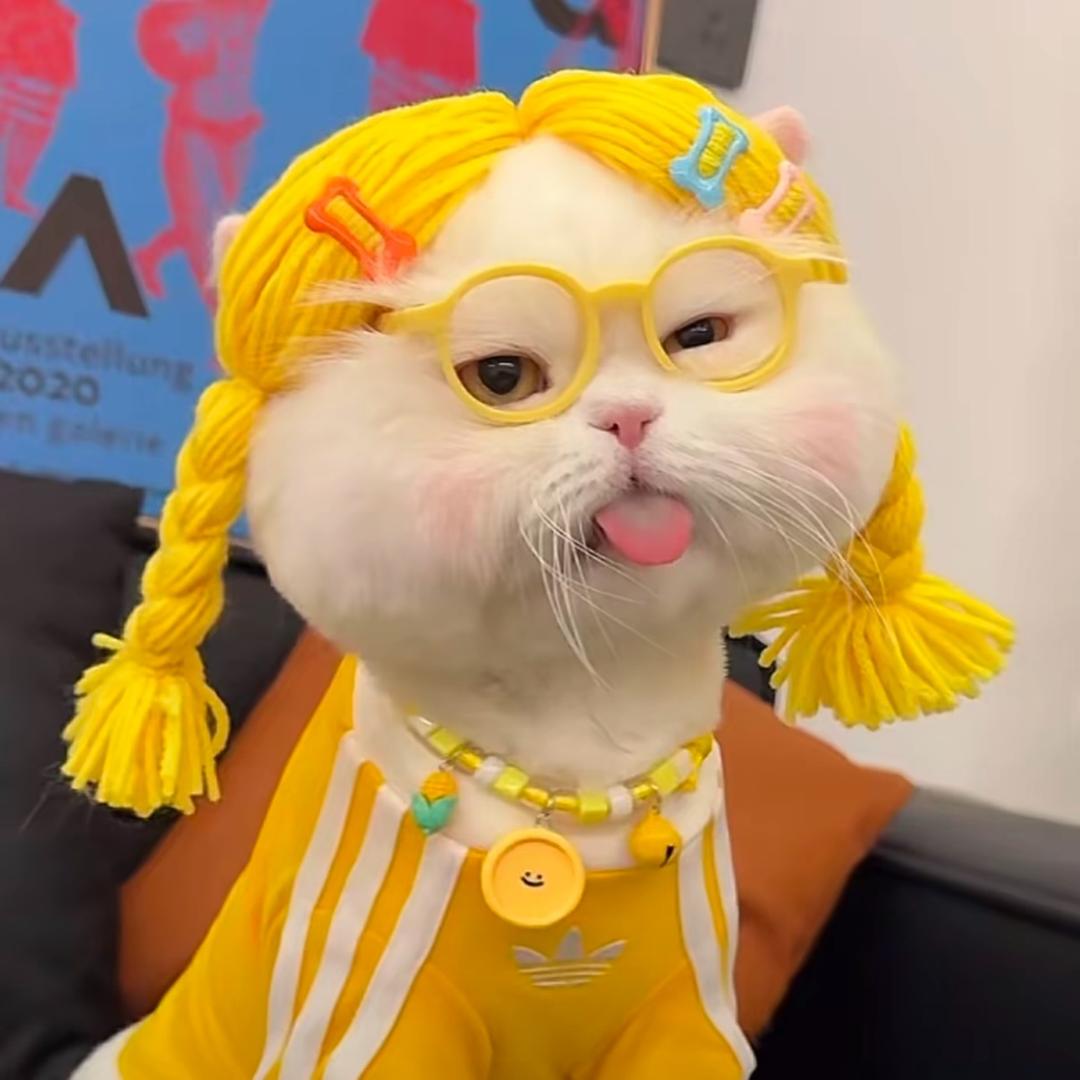 芸芸不冷吖