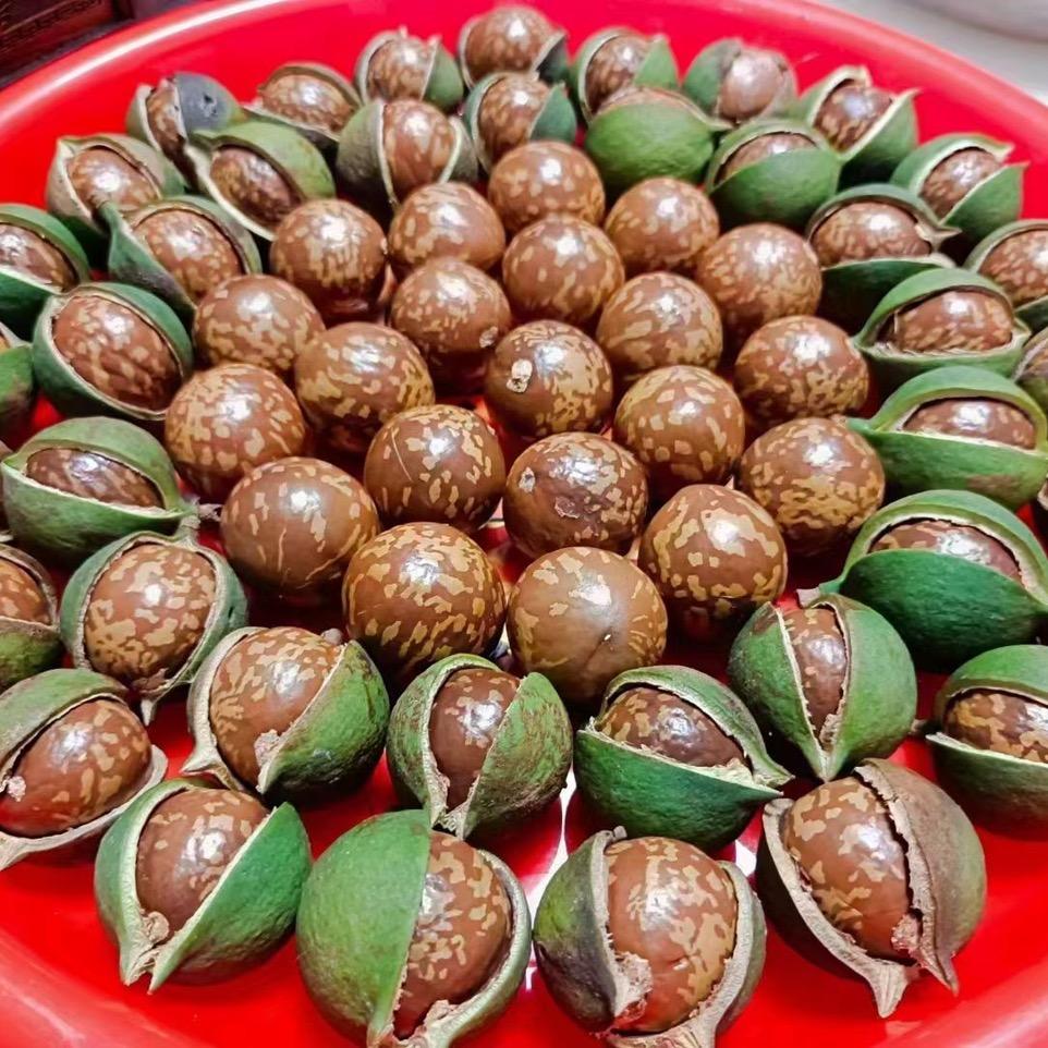 昆明果果多批发
