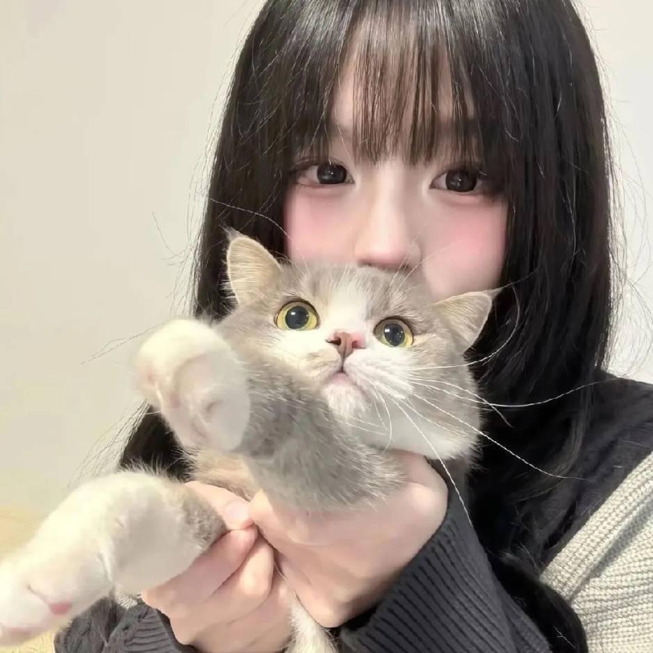 喵喵不缈缈