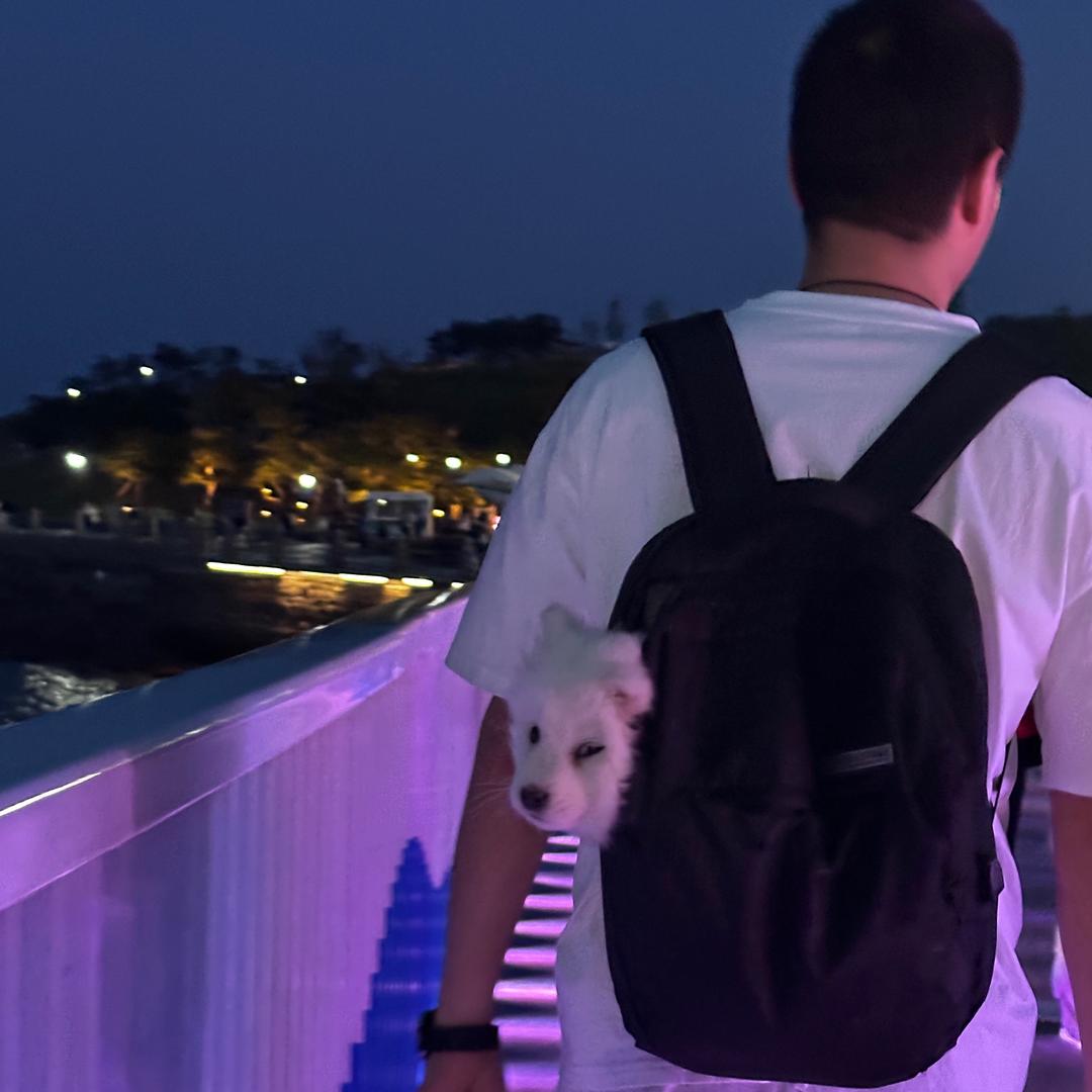 李老师说专升本