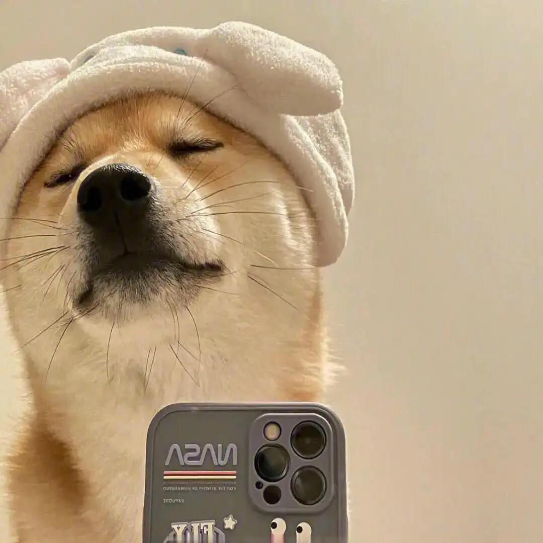 清风柠檬茶