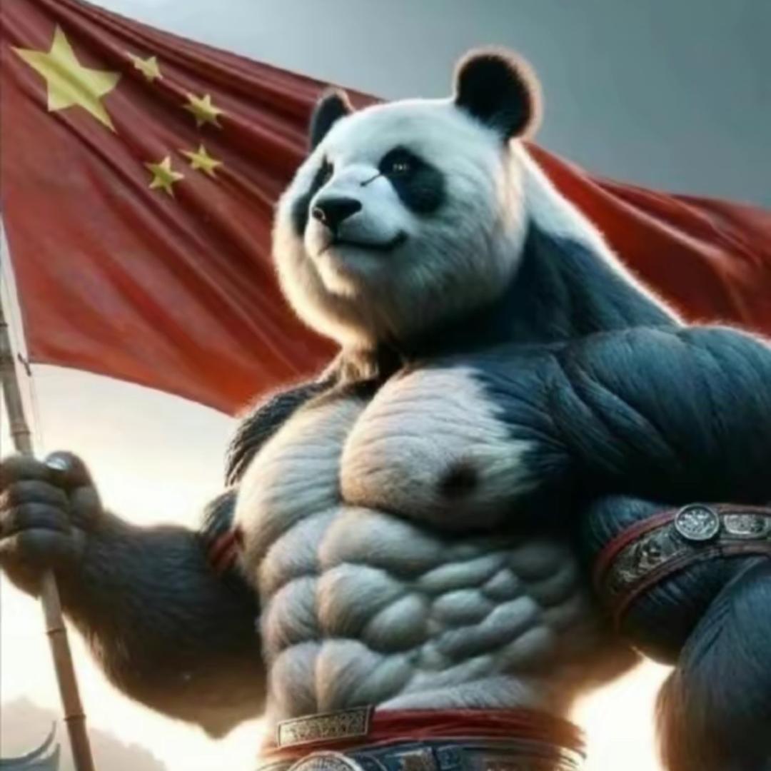 熊猫崛起