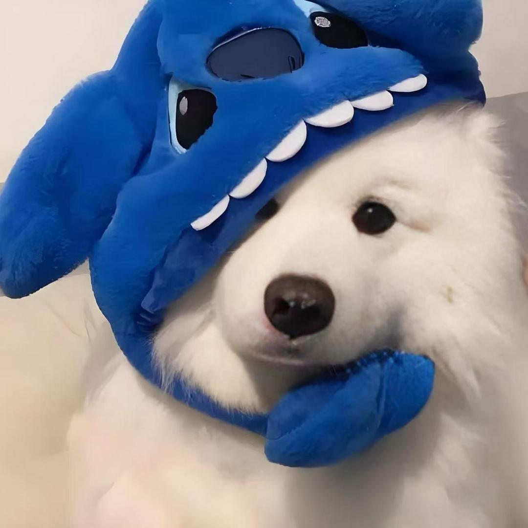 下次一定早睡！