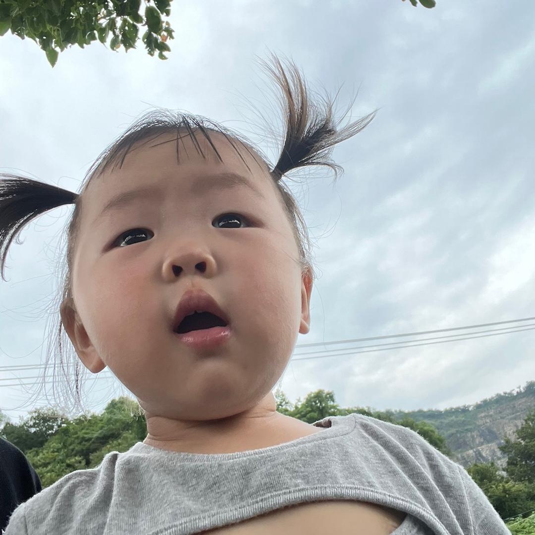 一只小小皮