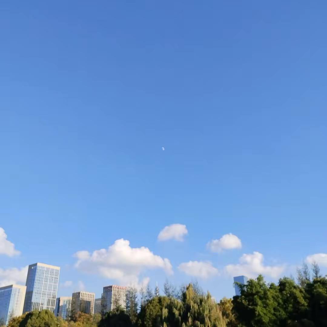 无忧者无虑