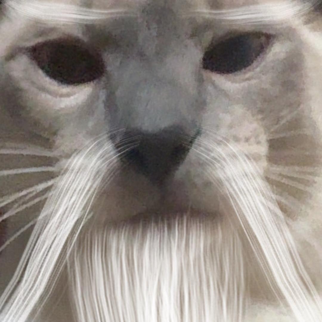 kk哦哦⁷⁷