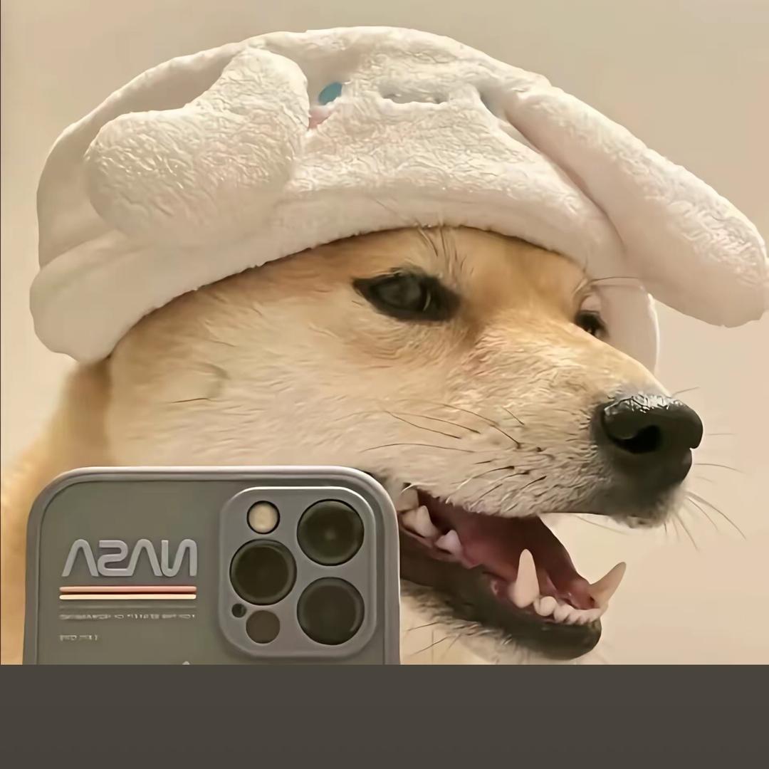 洋ㅤ︍︍︍︍