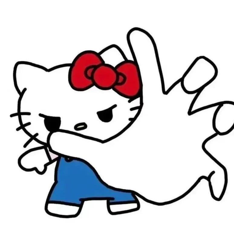 恒通驾校橙橙