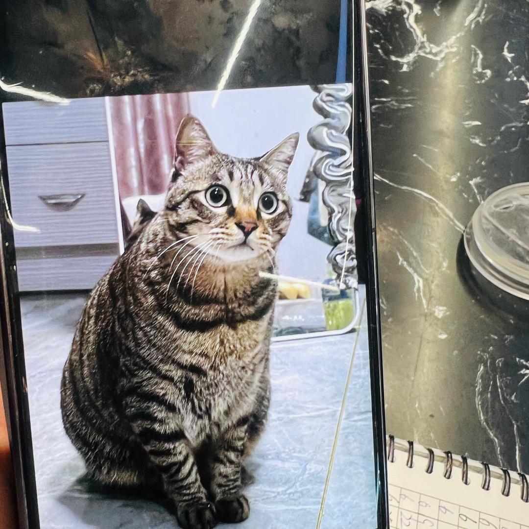 梵执（福清万达小雅）