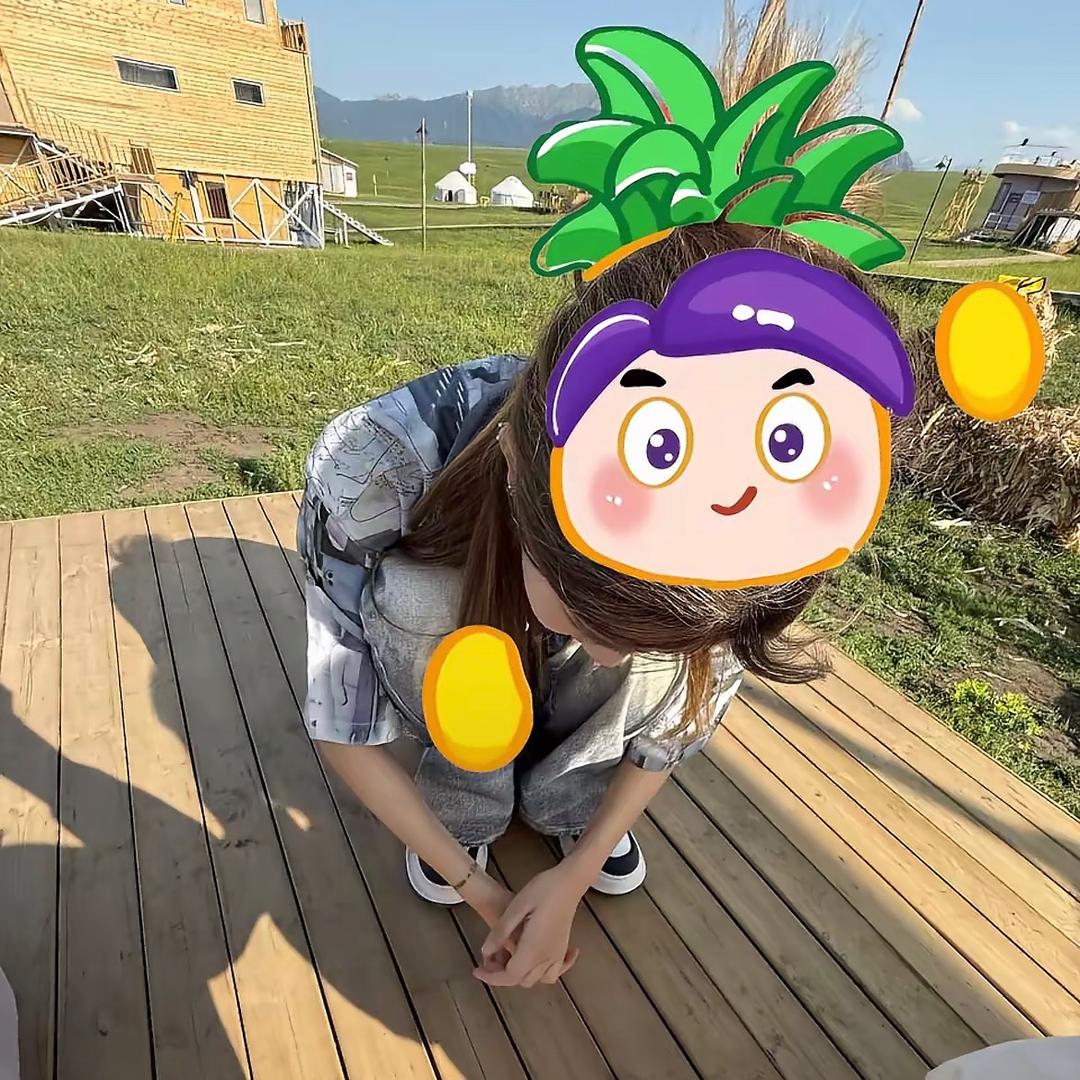 菠萝吹雪🍍
