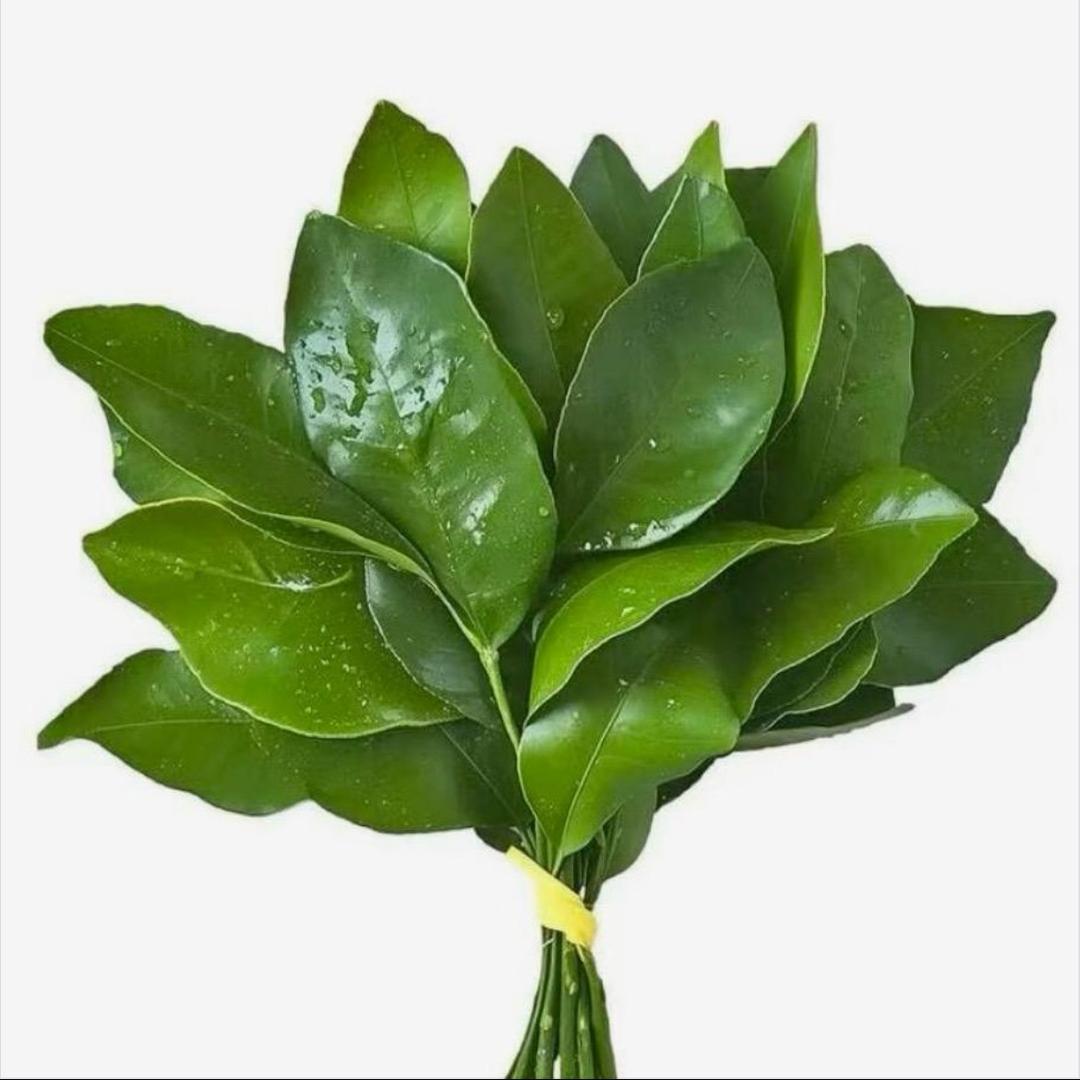 小1️⃣🍃