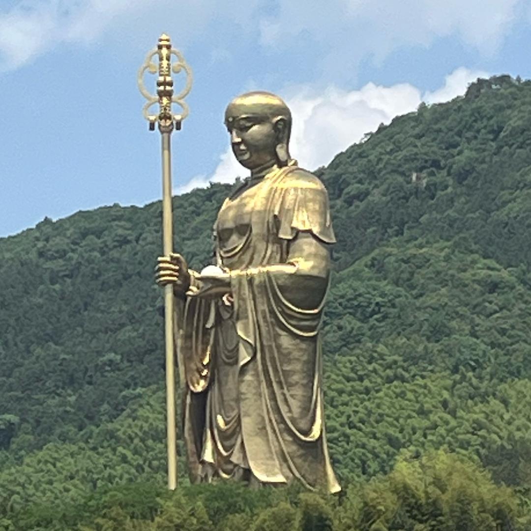 九华山锦鲤（可约拍）