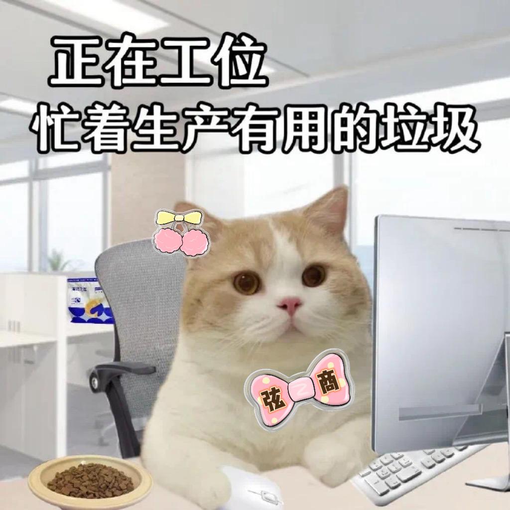 弦商办公室日记