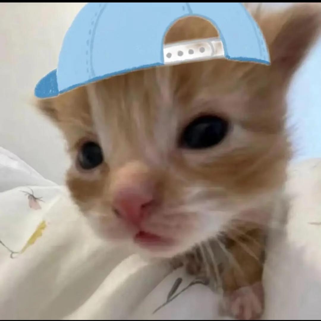 火页球得很💦.